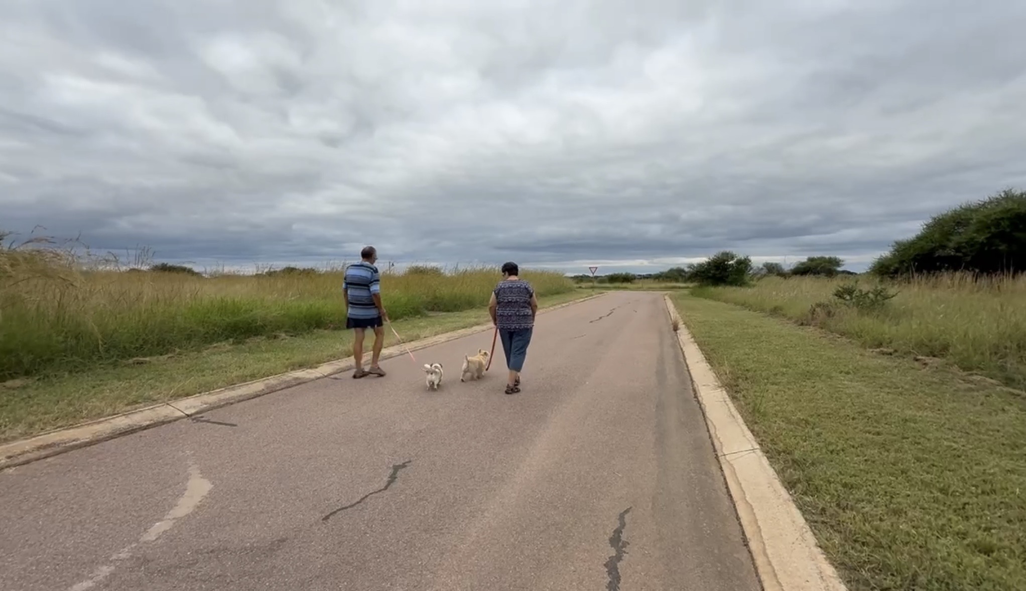 Bushveld retirement at its finest: Introducing the Euphoria Retirement Village | Part 1 of 3